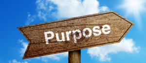 Aging with Purpose: The Power of Meaningful Engagement with Society